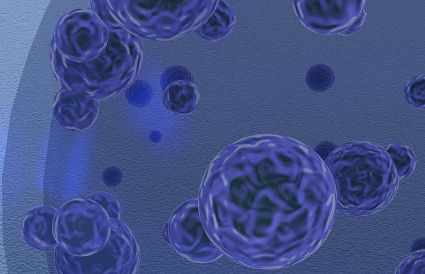 Comprehensive AAV Vector Design Services to Advance Gene Therapy Research