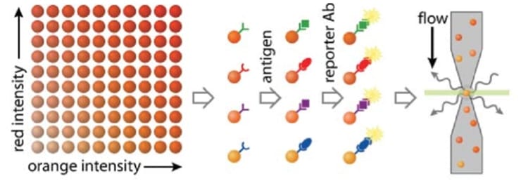 Beads Based Multiplex Assay for High-Throughput Biomarker Detection