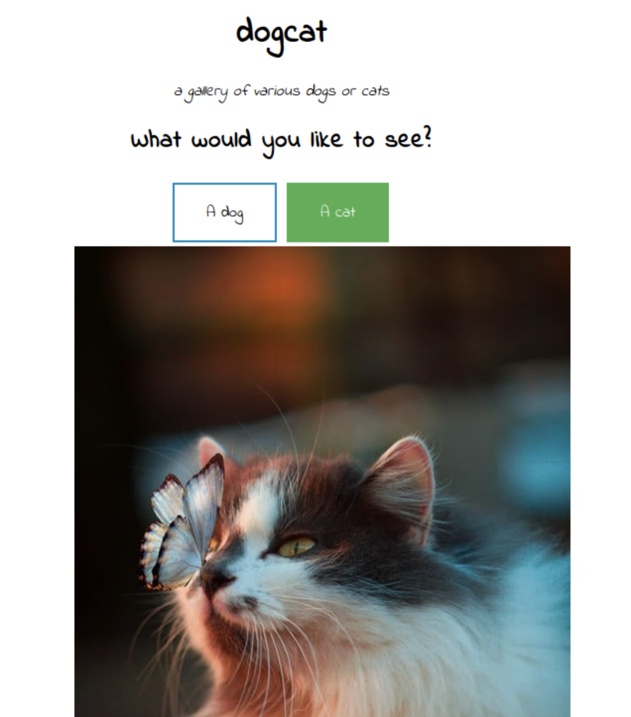 dogcat | THM write-up
