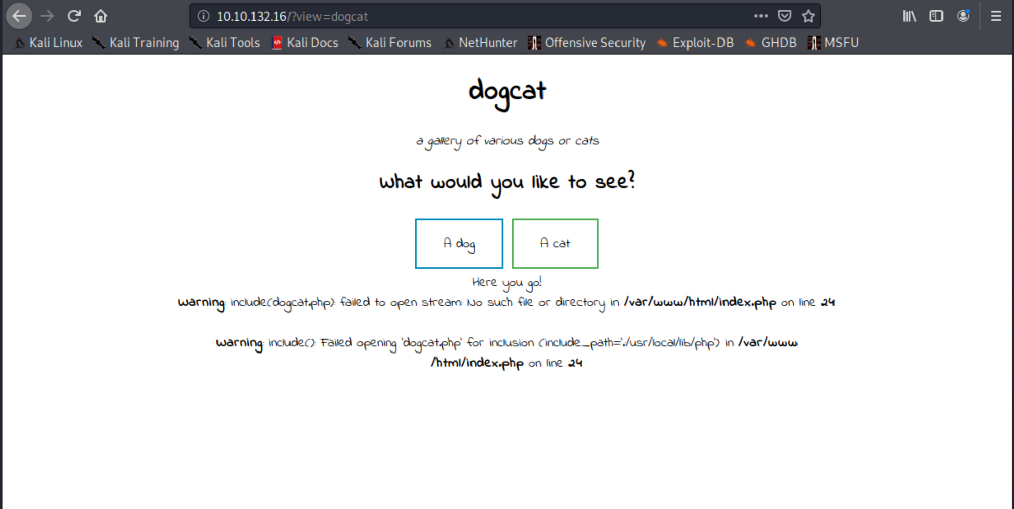 dogcat | THM write-up