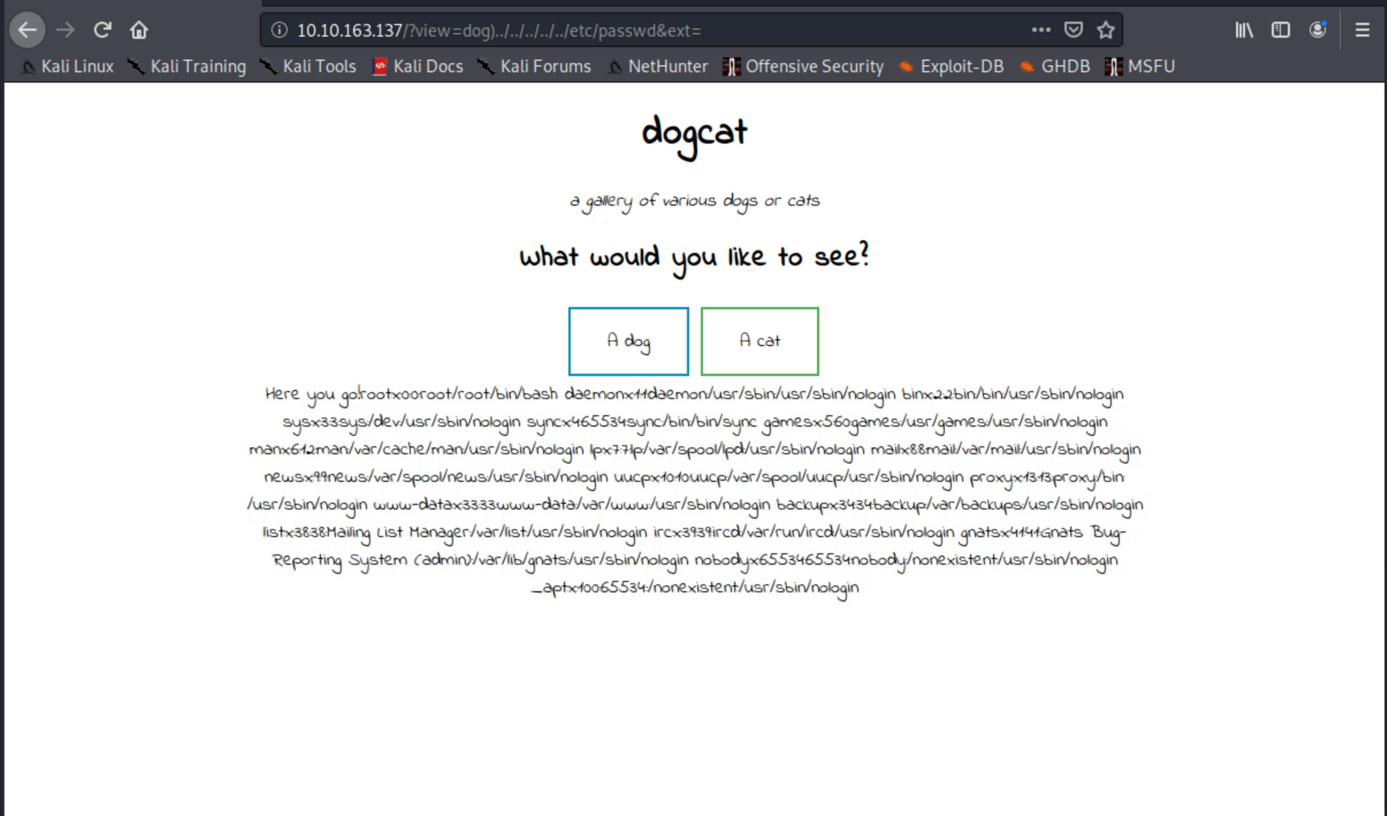 dogcat | THM write-up