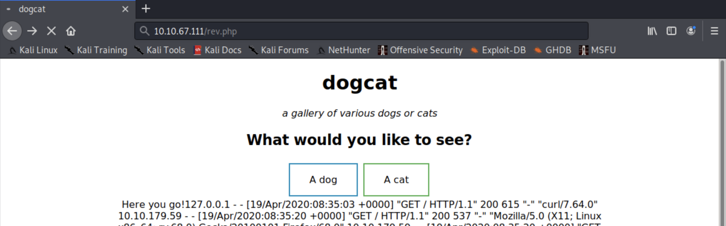 dogcat | THM write-up