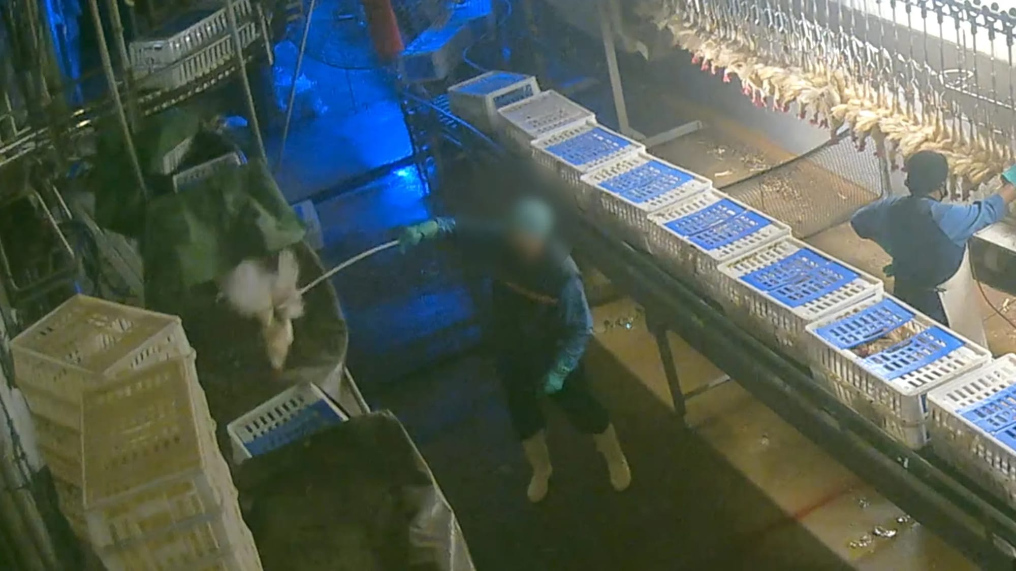 Warum wir das machen