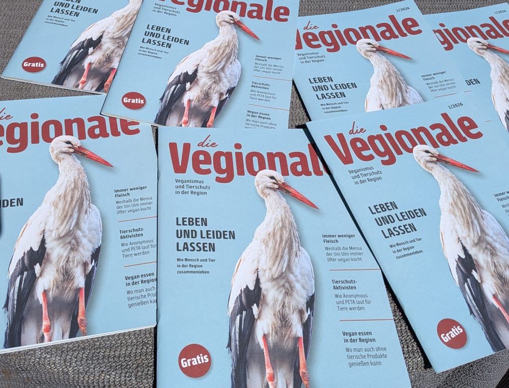 Die Vegionale liegt aus!