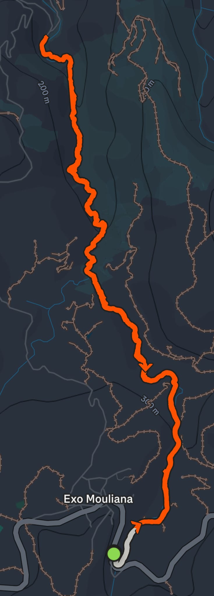 Strava Route