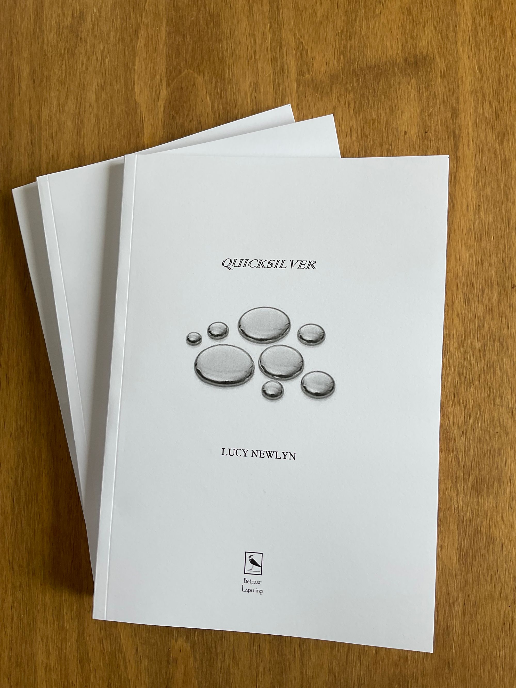 QUICKSILVER Lapwing 2022 