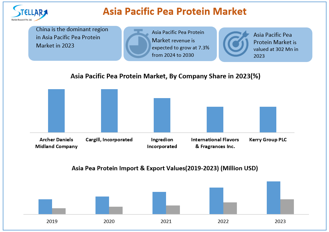 Asia Pacific Pea Protein Companies Size, Forecasting Share and Scope for 2024-2030