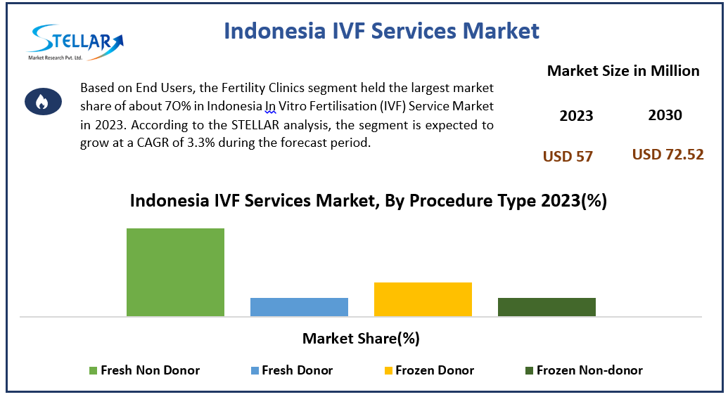 Indonesia In Vitro Fertilization Service Market Report Focus On Landscape Current And Future Development 2024-2030