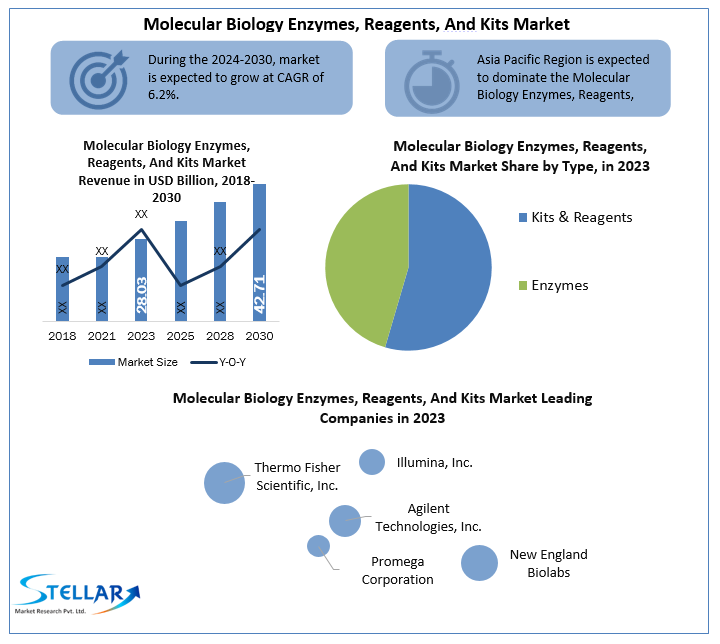 Molecular Biology Enzymes, Reagents, and Kits Market Forecast Segments, Leading Player, Application and Forecast Analysis