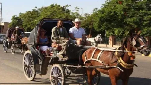 Experience Aswan City Excursion by Horse Carriage