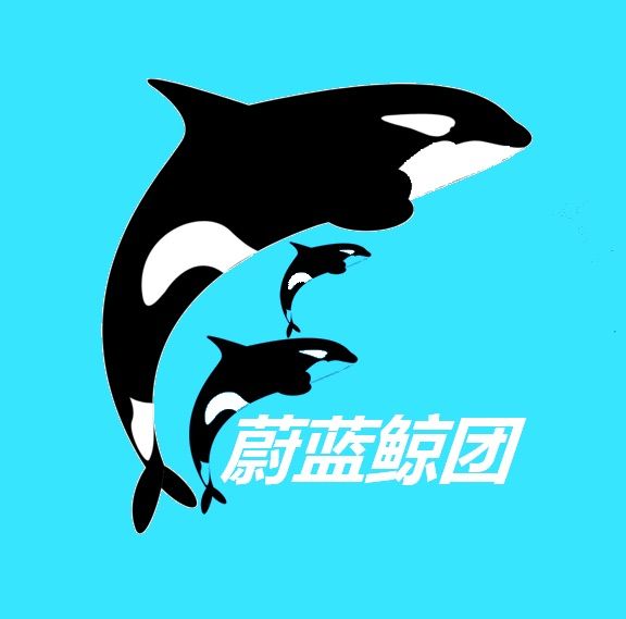 蔚蓝鲸团