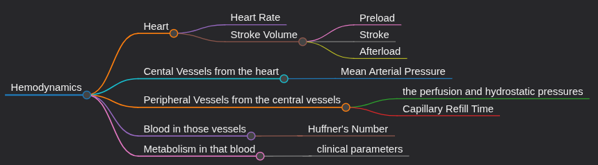 1.1 Hemodynamics: Basic Principles for Anesthesiology and Intensive Medicine