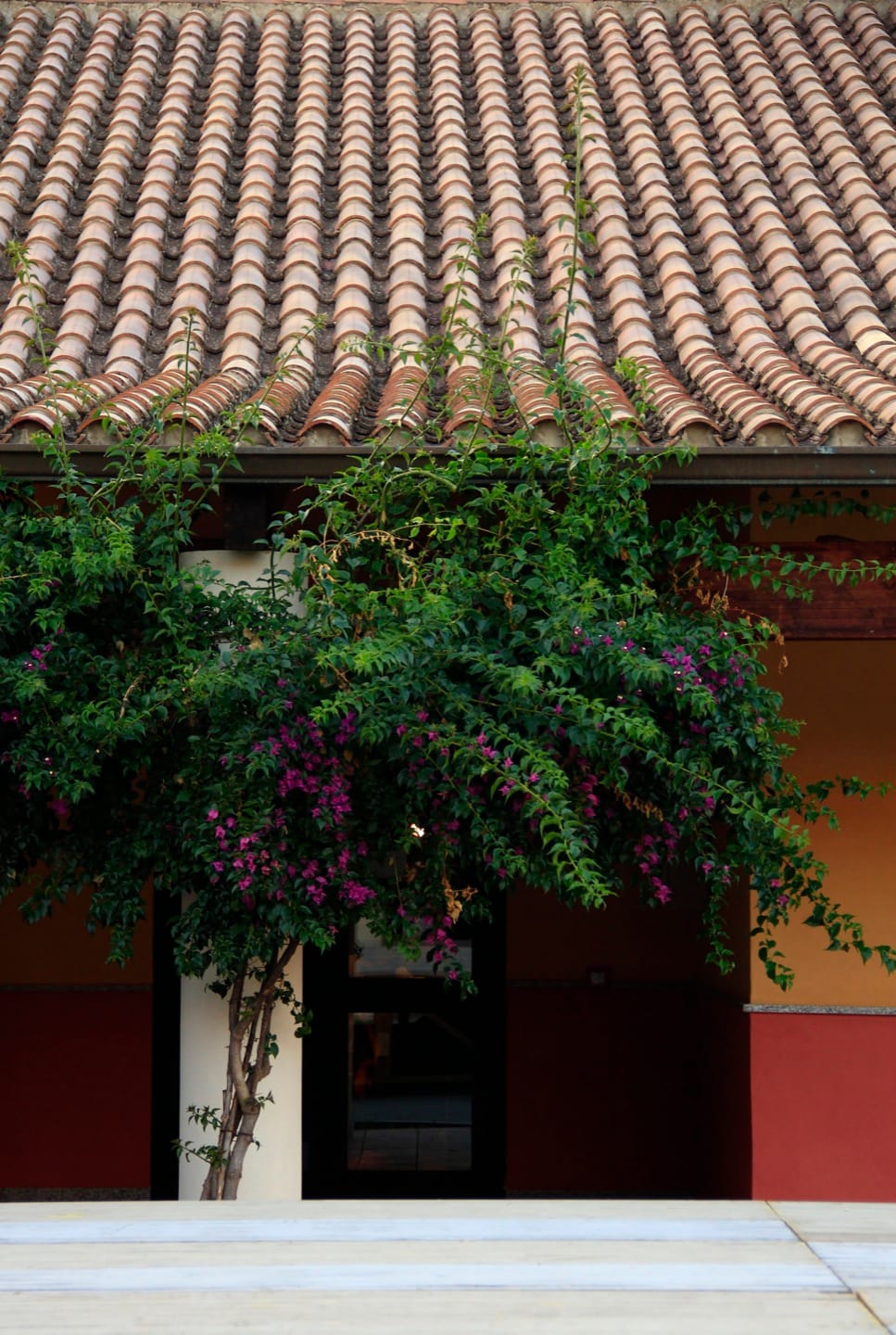 Sotto questo cielo: Theatre, Memory, and Summer Nights at La Vetreria