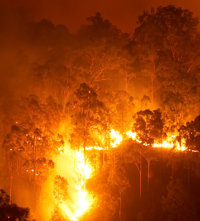 Up in Smoke: Forest Fires in the Himalayas