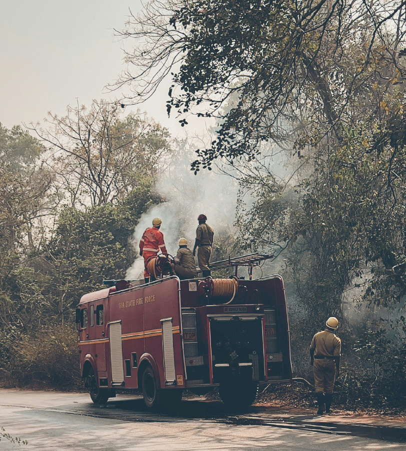 Visualisations on Temperature and Forest Fires