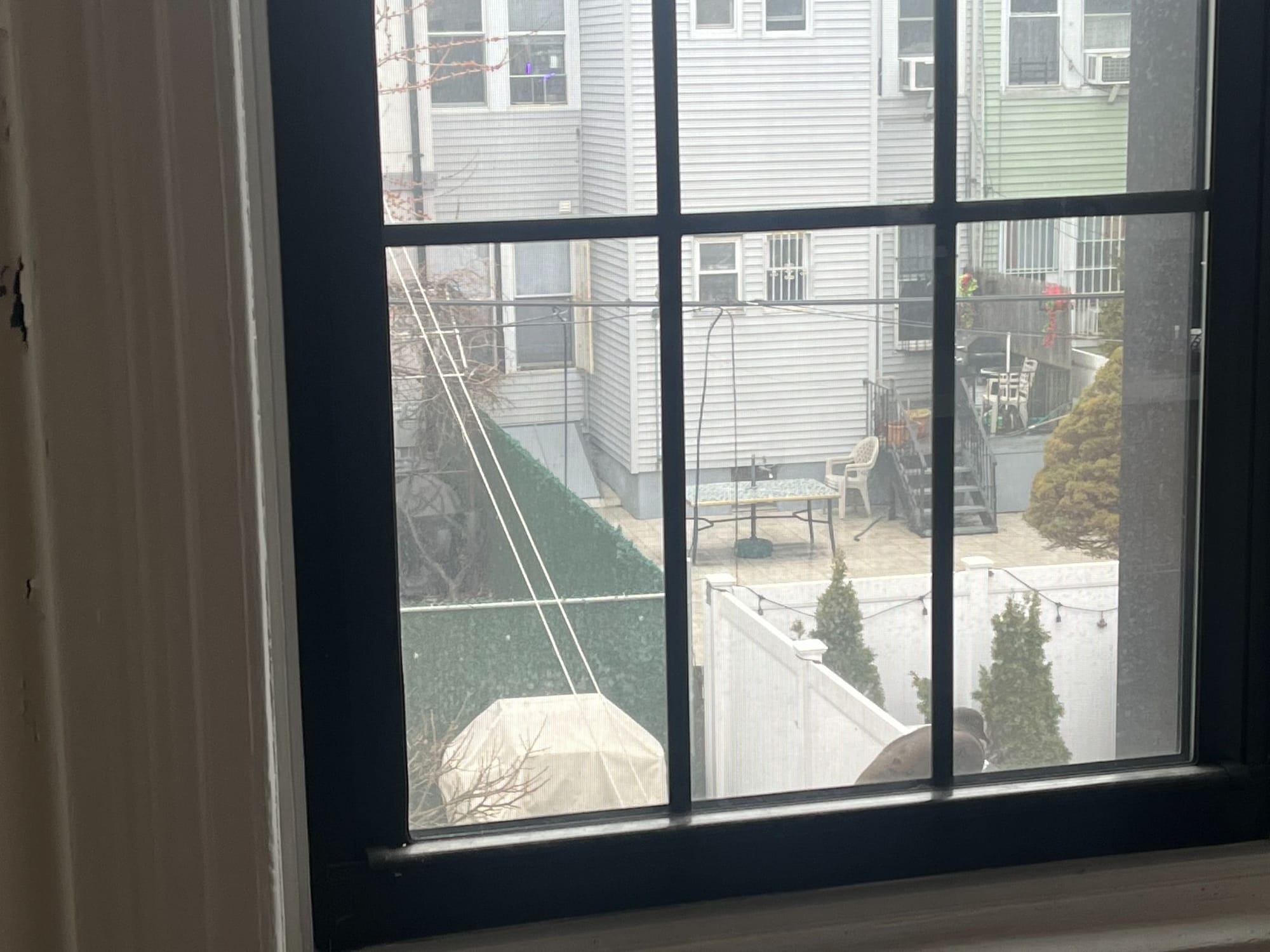 a mourning dove sitting on a window sill in front of an apartment backyard