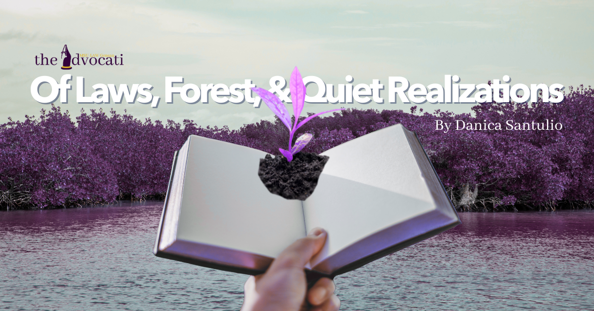 Of Laws, Forests, & Quiet Realizations