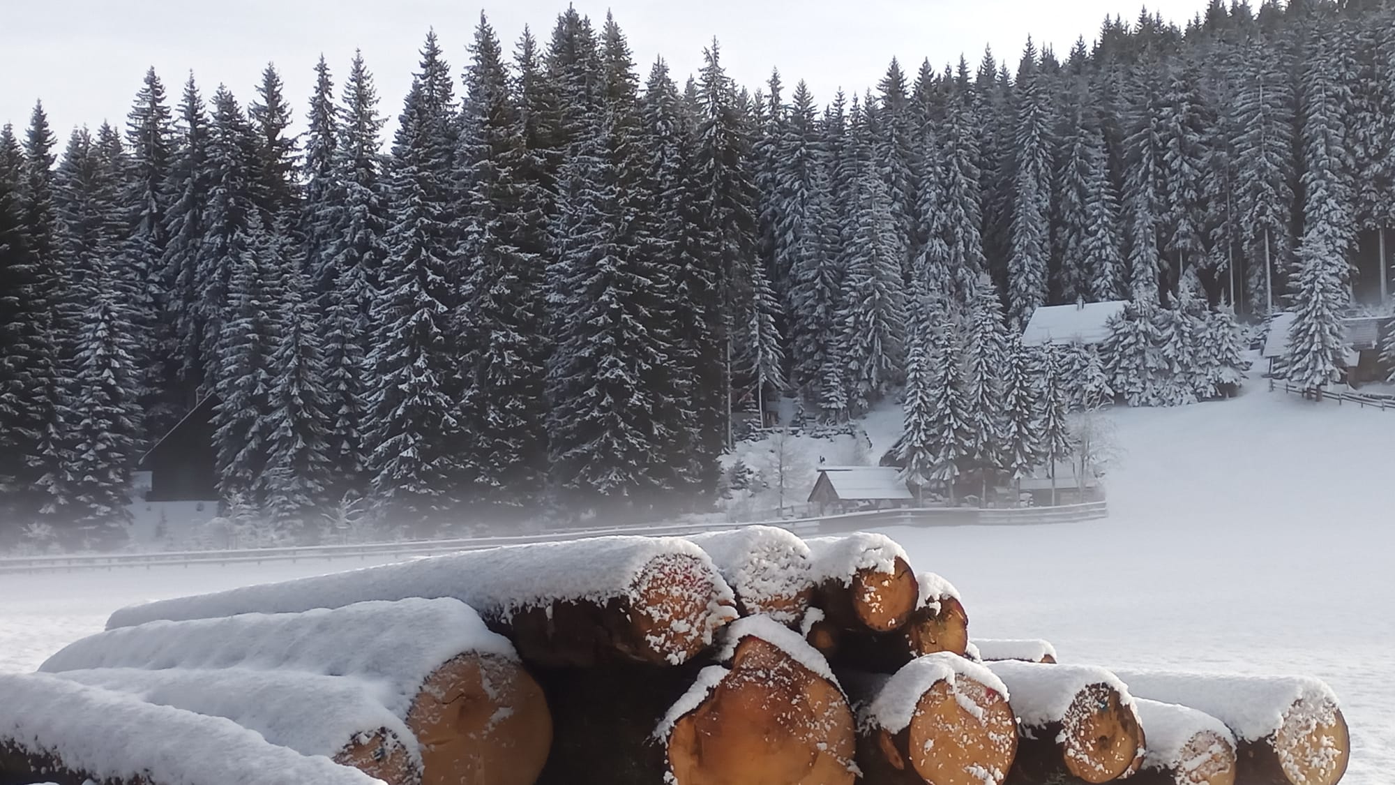 Langlauf Pokljuka 19.01.2024 - 21.01.2024