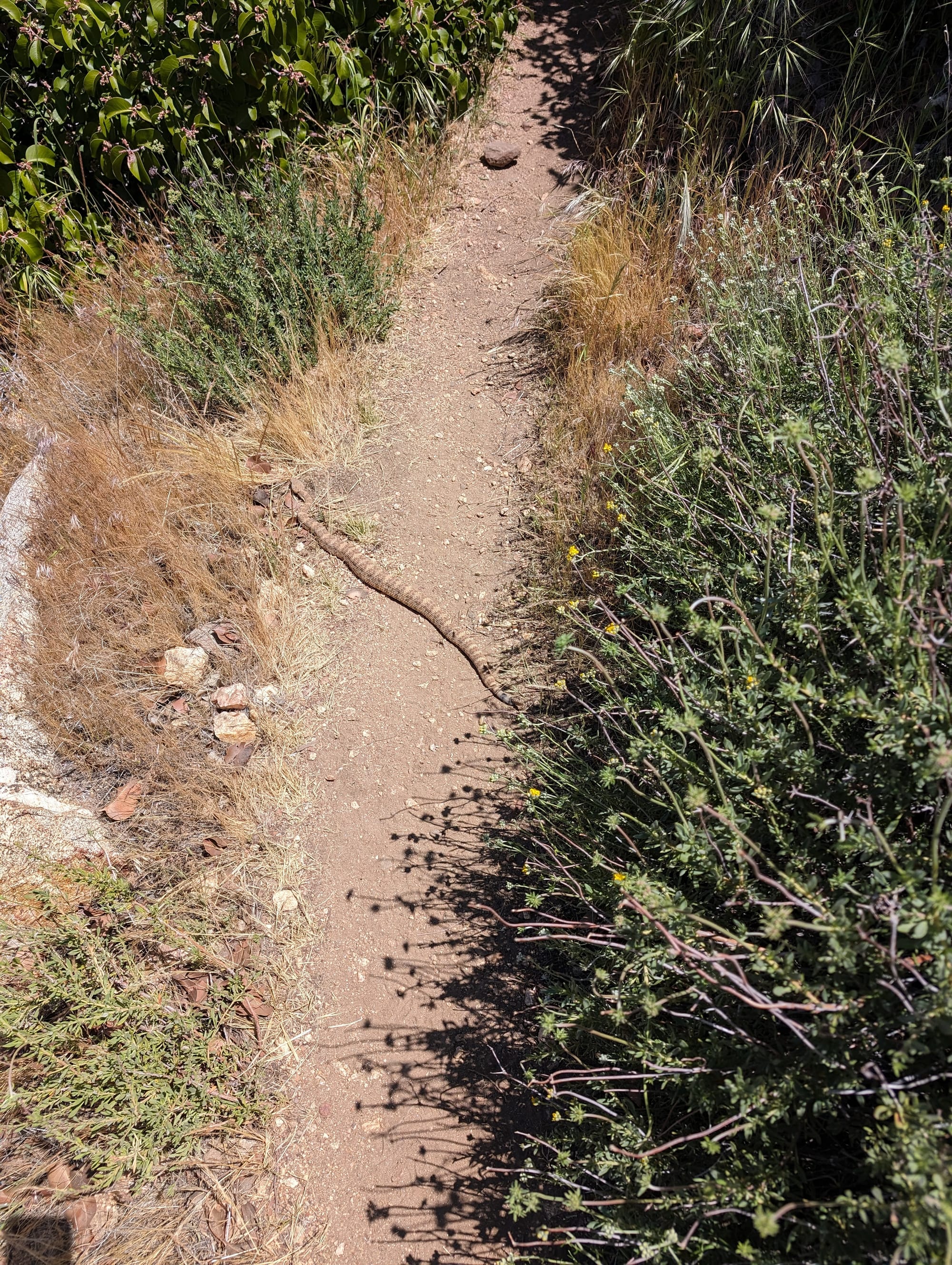 Erste Etappe von Mexican Border nach Scissors Crossing