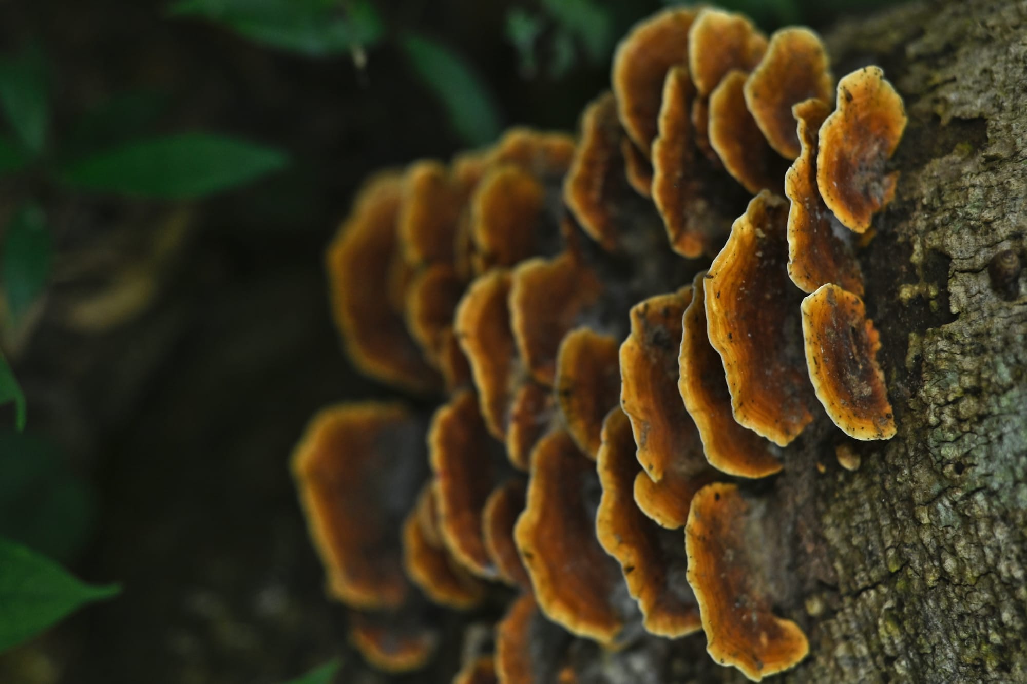 Composting the old ways