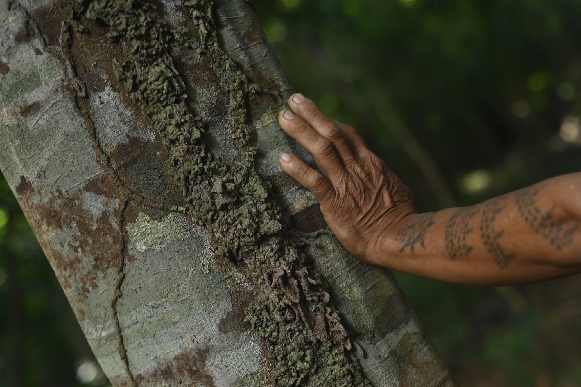 Hello (natural) world!