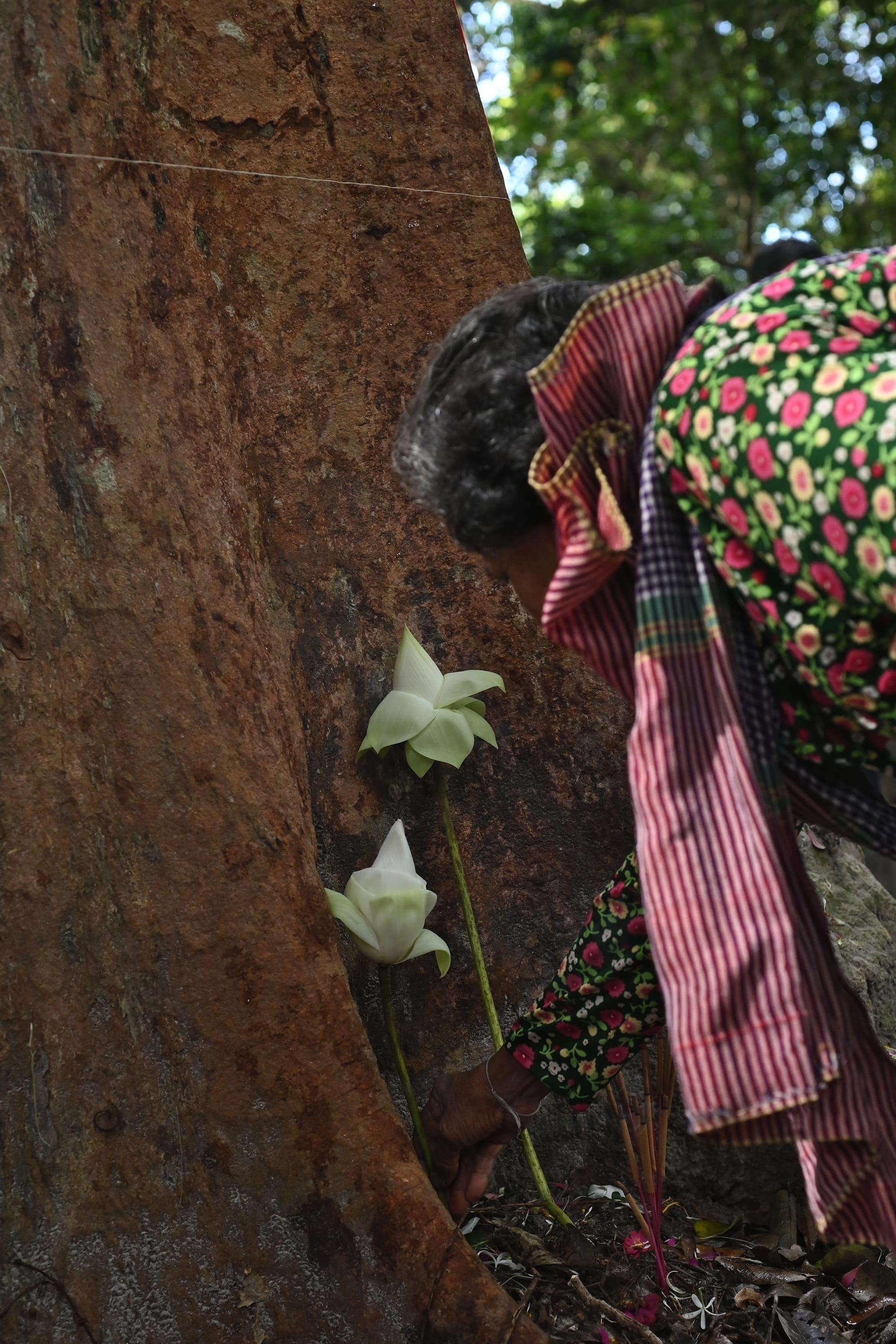 A requiem for a lost innocence