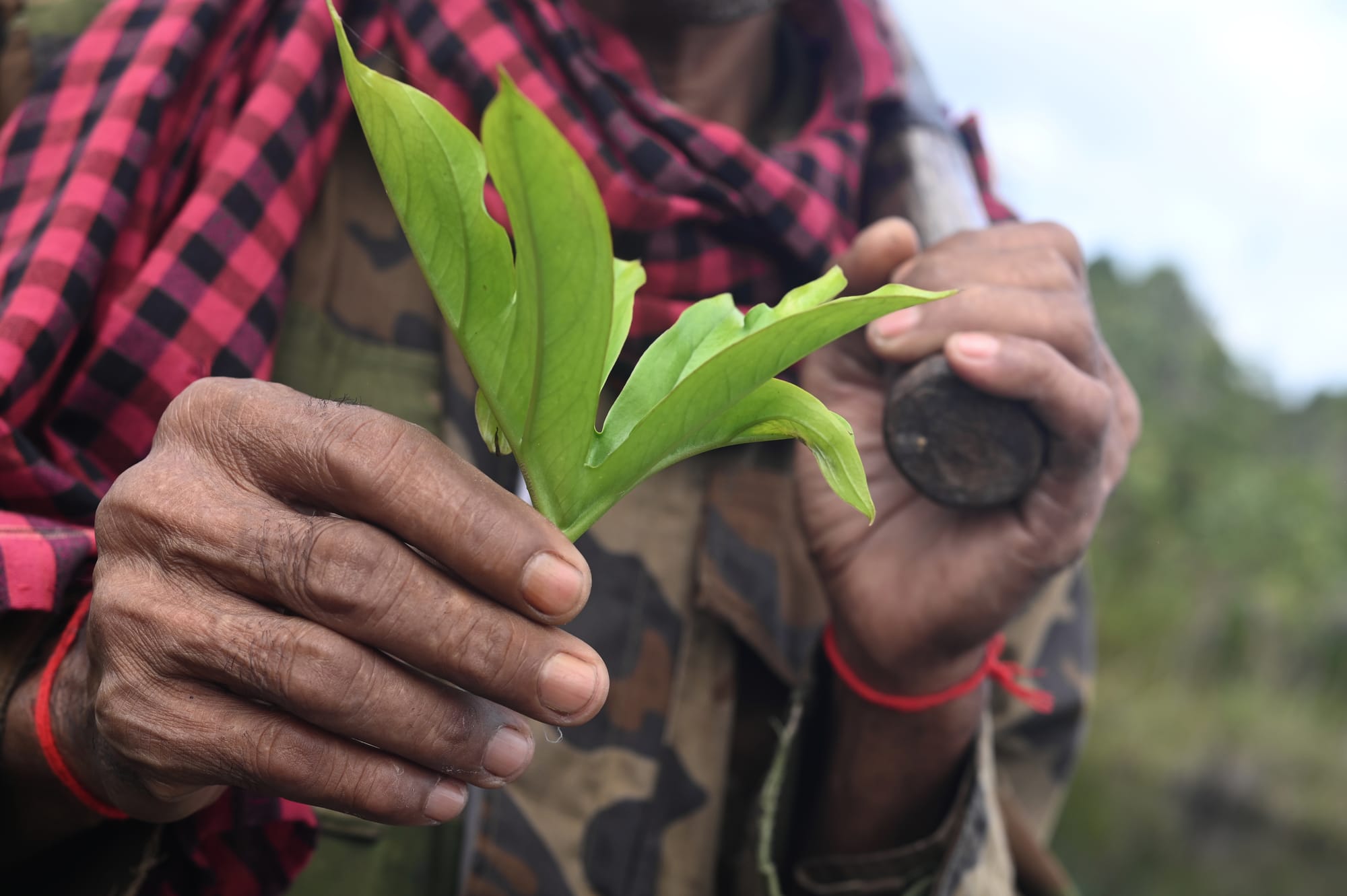 Smells Like Kin Spirit