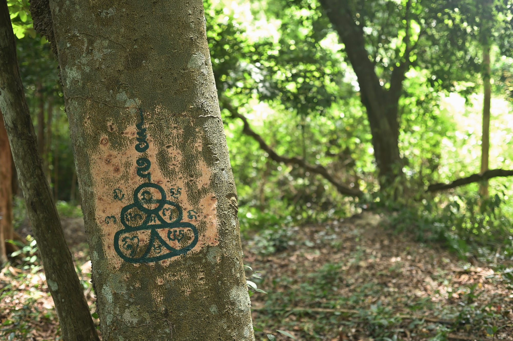 open skins, veiled nests