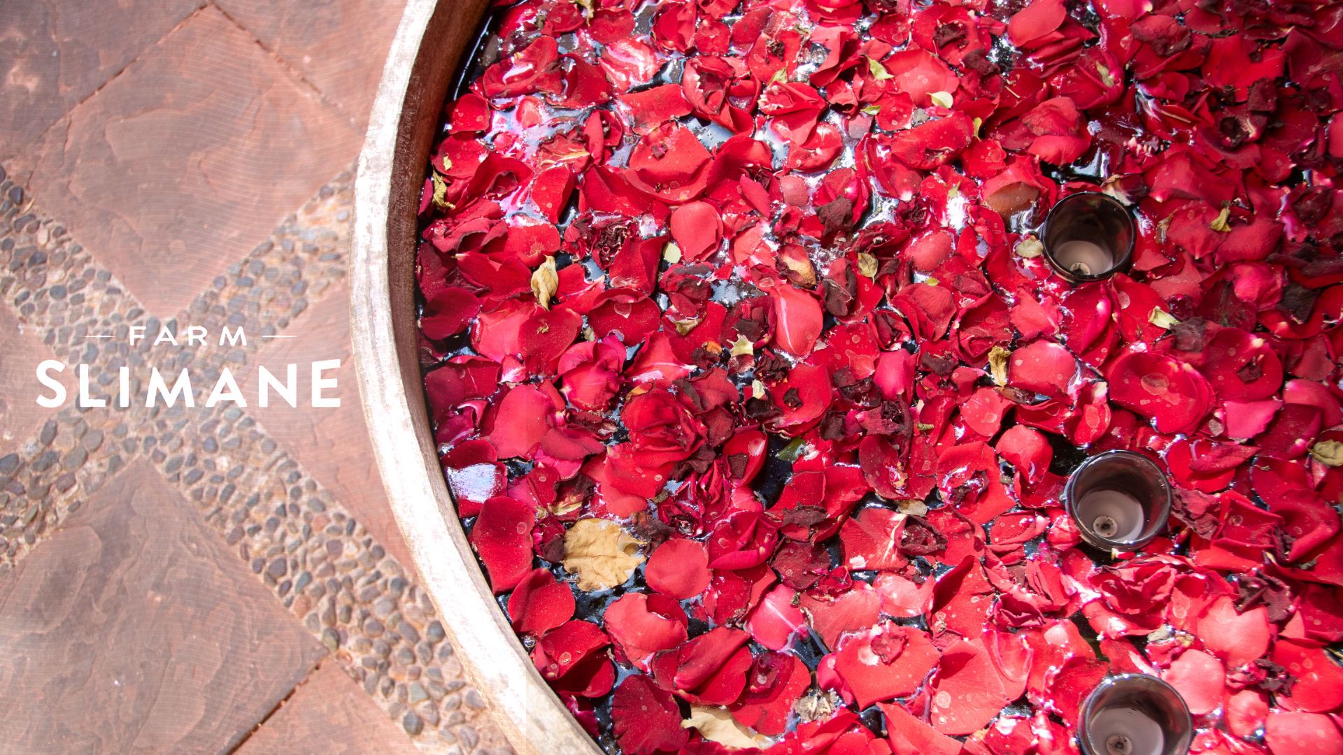 Sanctuary Farm Slimane