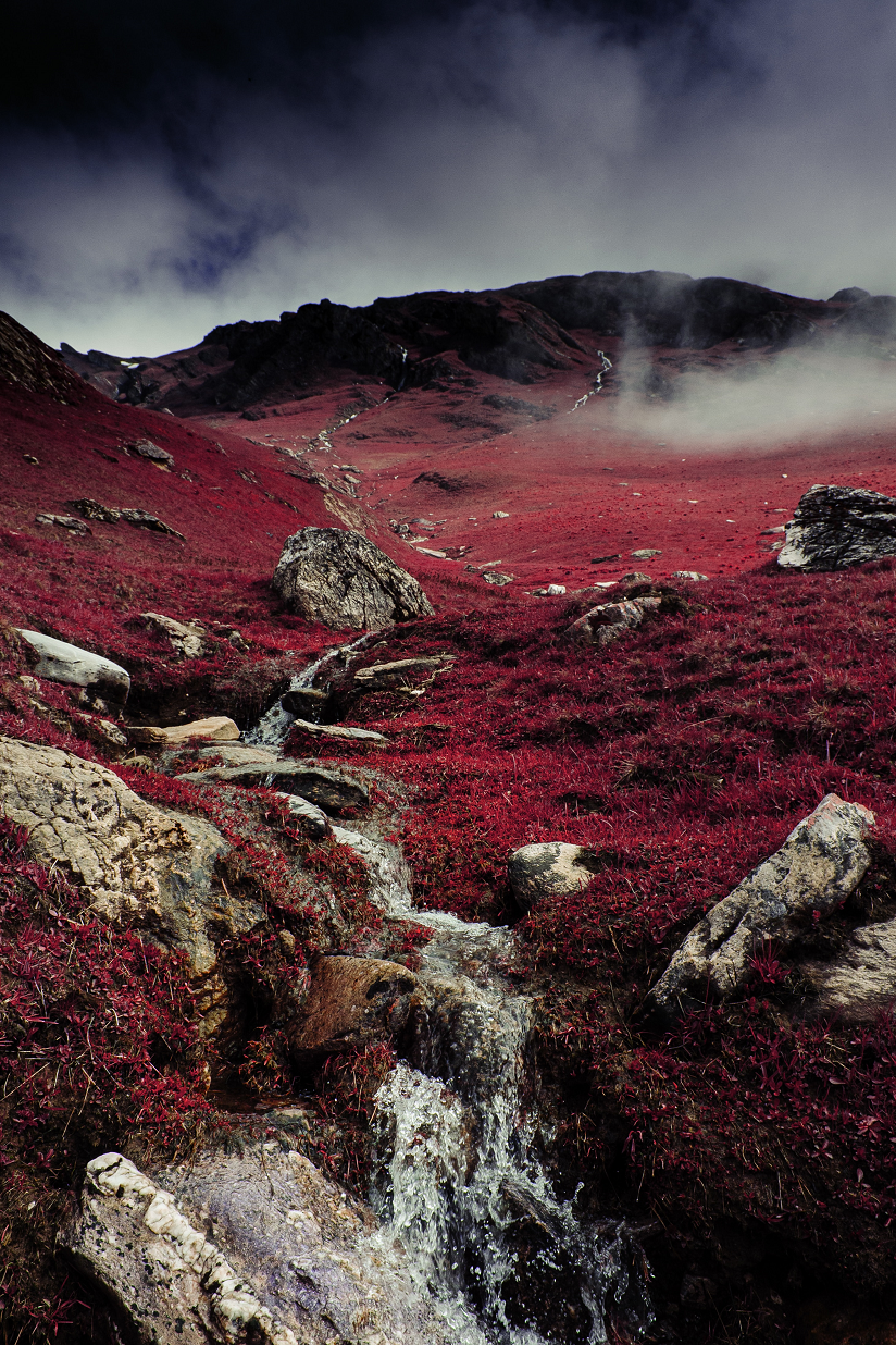 D&D City Encounters using the Monster Manual