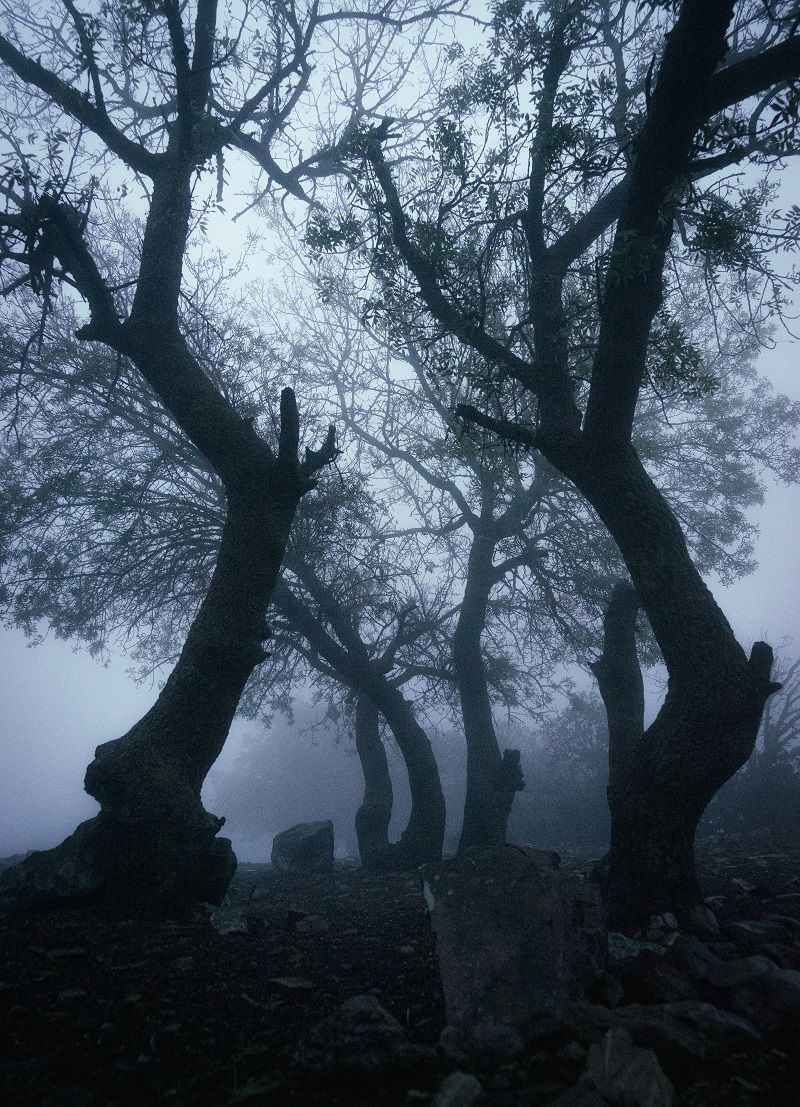 A Switch to System Neutral Fantasy