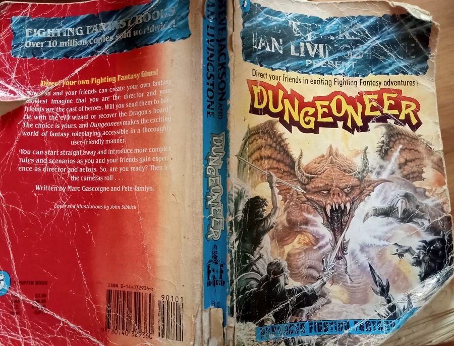 Rolling Solo with Dungeoneer Part 1, RPG and Character Intro