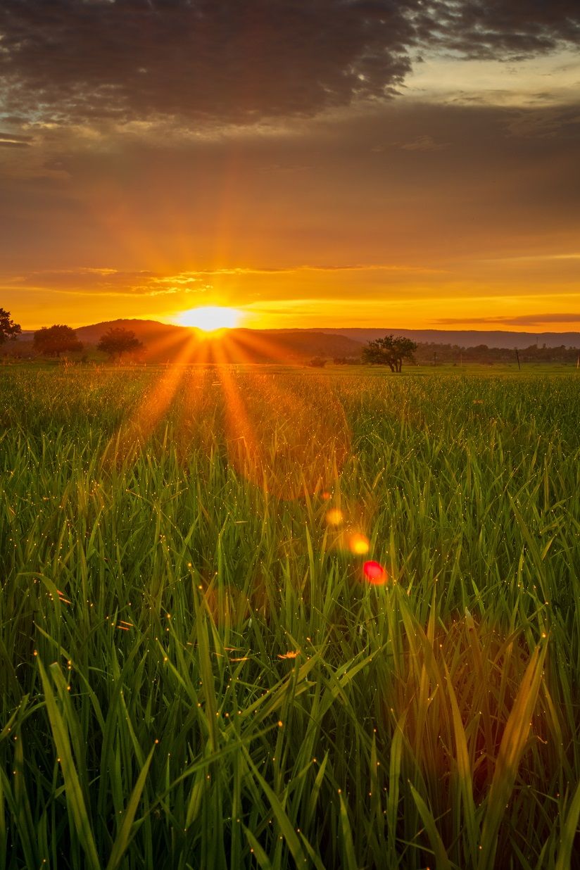 100 Fantasy Trinkets for Hinterlands of Farm and Village