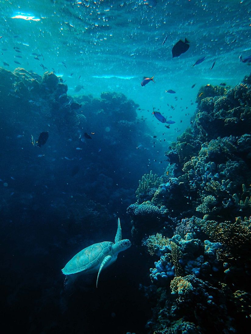 Fantasy Encounters, Hazards & NPCs for Underwater RPG Adventures