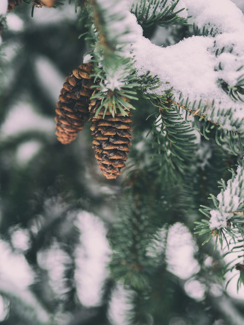 100 Trinkets of Winter and Snow