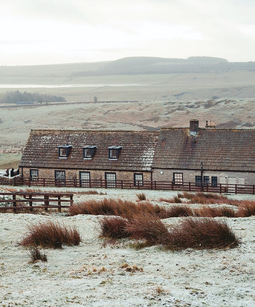 Table Rolls - Fantasy Place Names by Beast or Creature