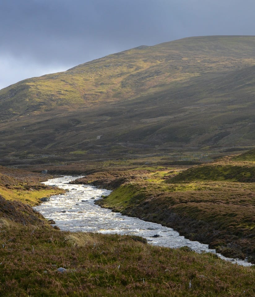 British Fantasy Names: Scot Gaelic
