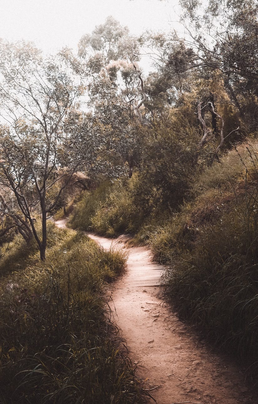 Road & Trail Encounters Using the 2024 Monster Manual