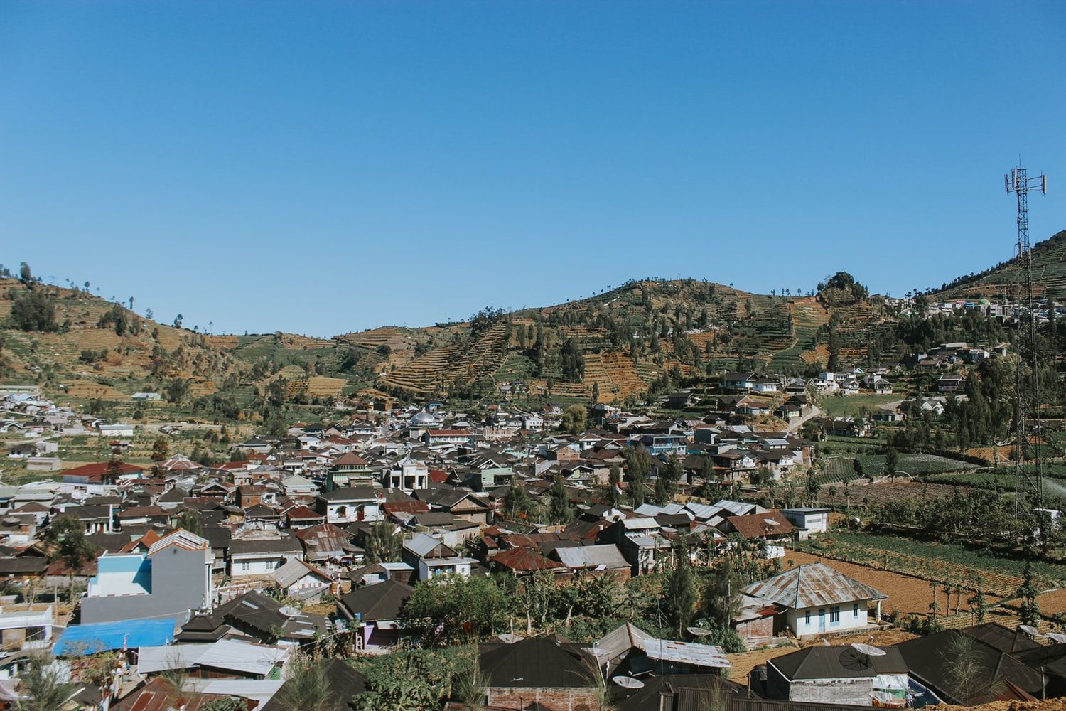 Mex's Playground