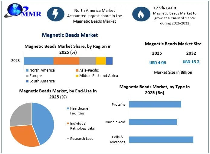 Magnetic Beads Market Key Insights, Growth Opportunities and Future Trends