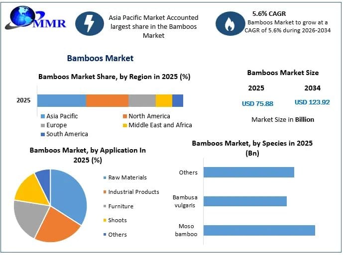 Bamboos Market Growth Drivers, Future Scope, and Revenue Forecast