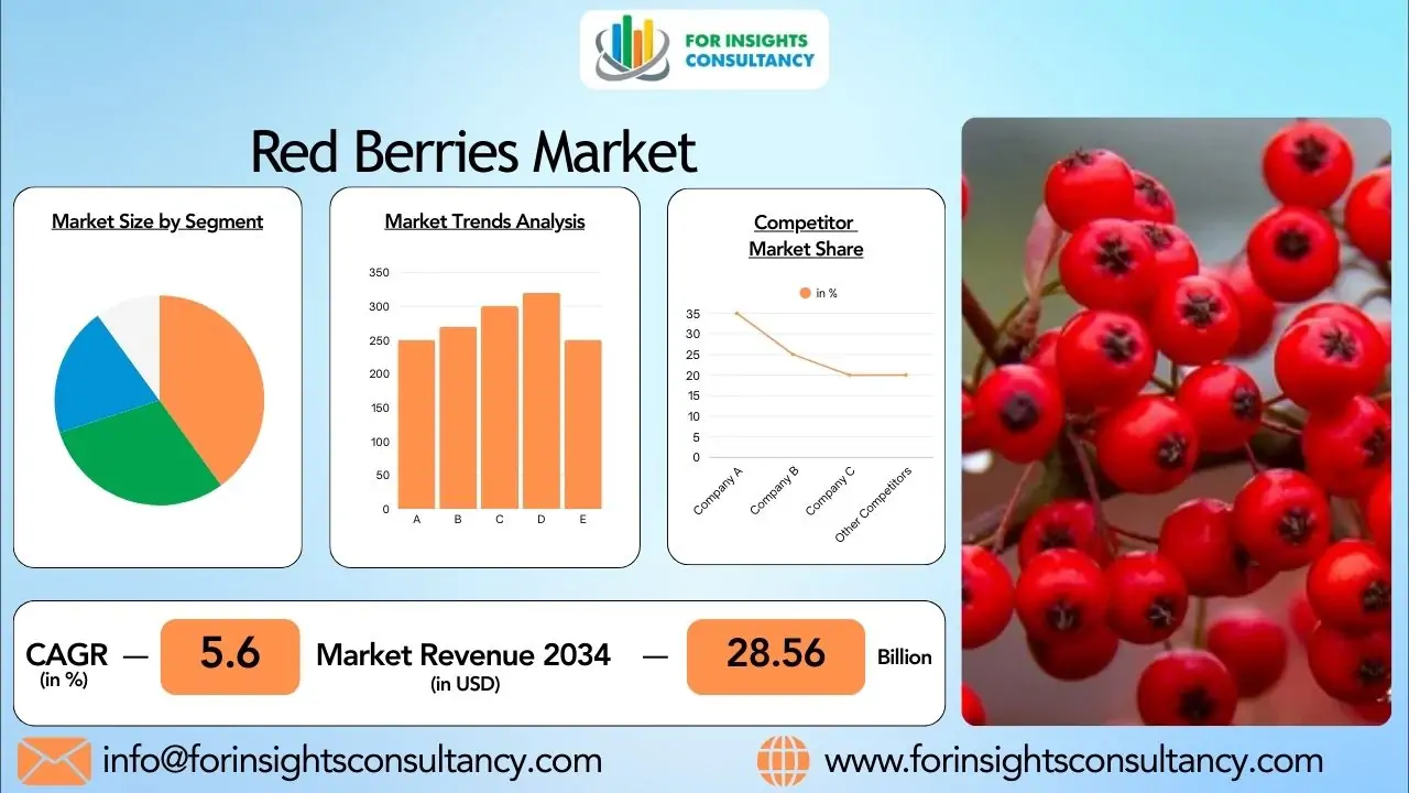 Red Berries Industry 2026: Market Demand and Global Expansion