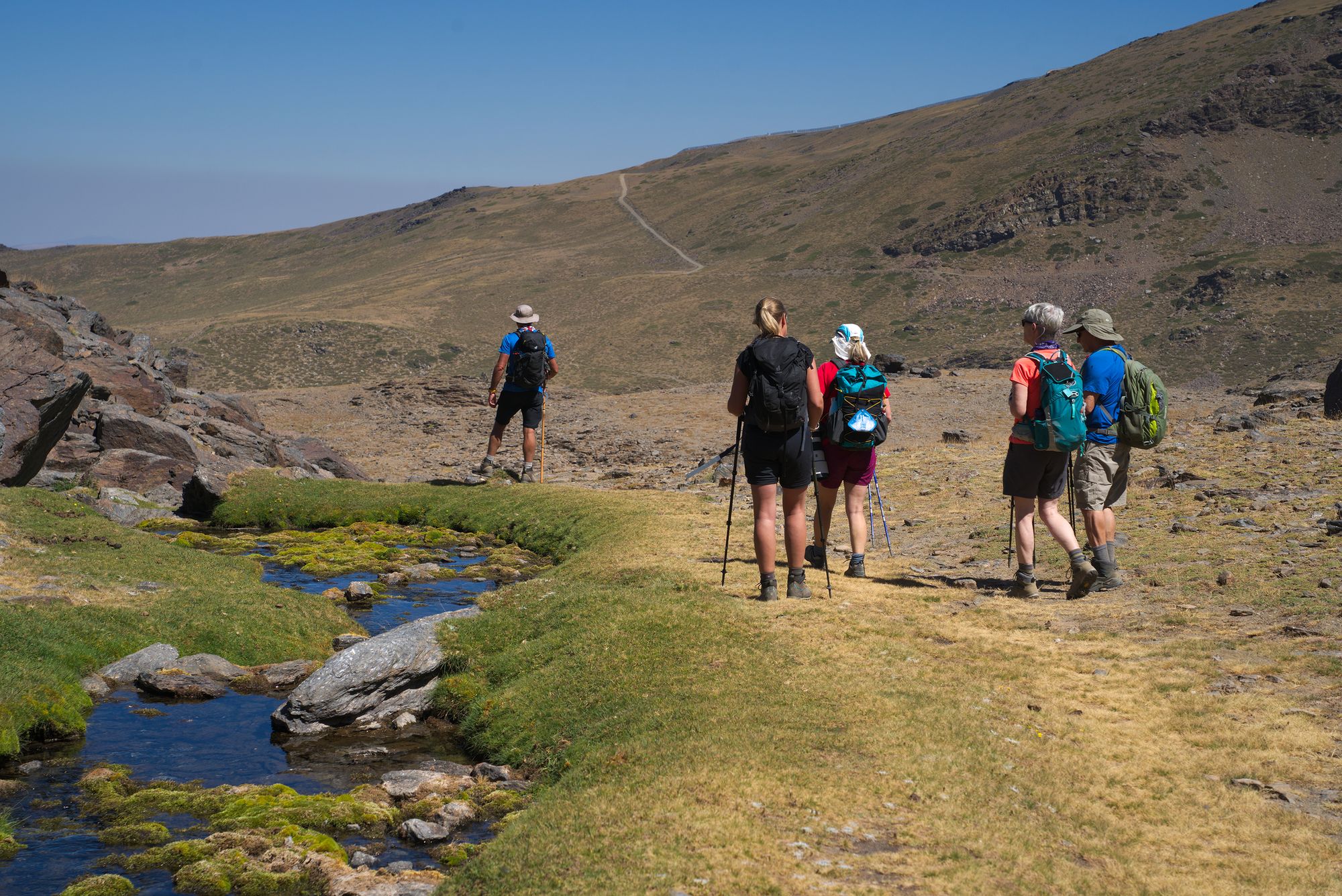 Even in August Nature and Beauty prevail