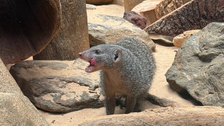 A Few Days in the Big City – Our NYC Adventure