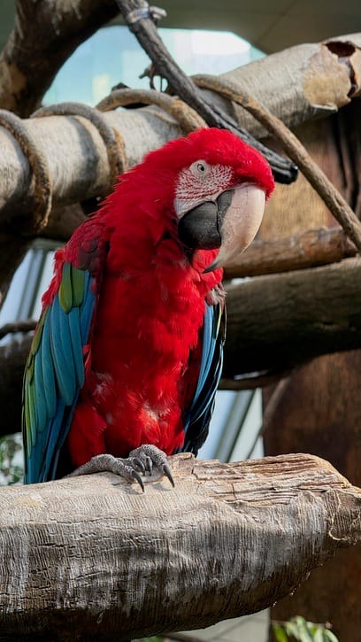 A Few Days in the Big City – Our NYC Adventure