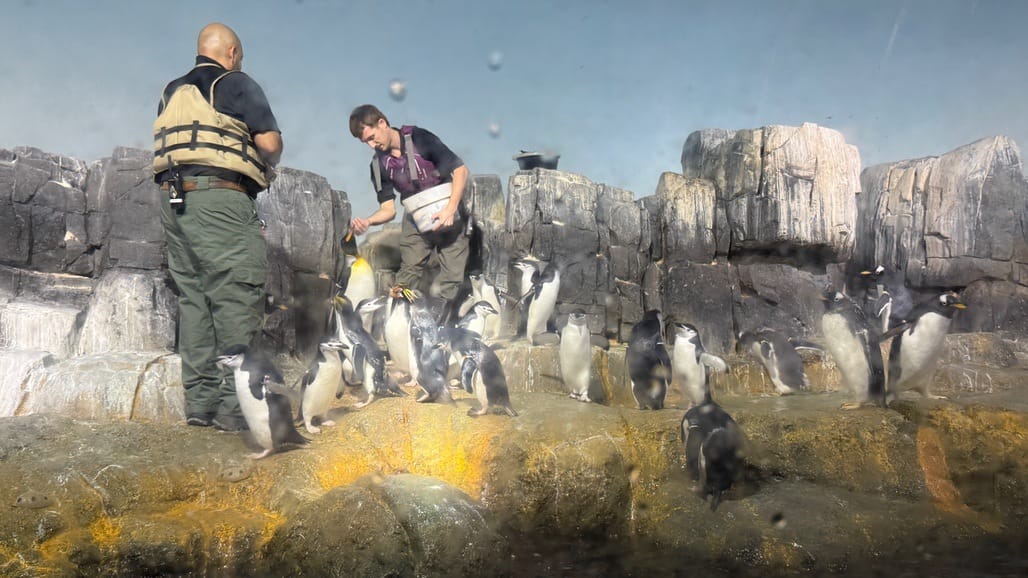 A Few Days in the Big City – Our NYC Adventure