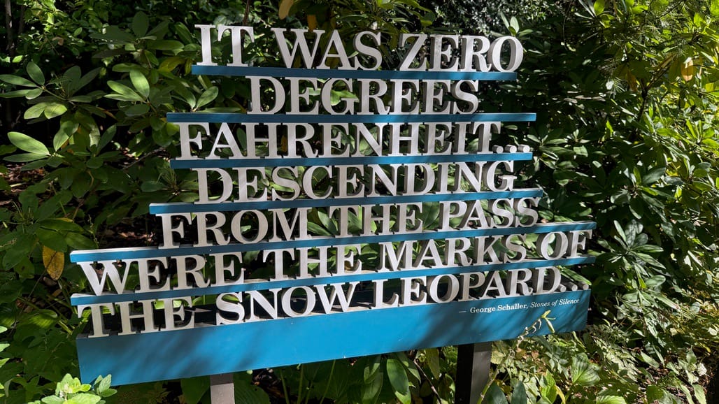 A Few Days in the Big City – Our NYC Adventure