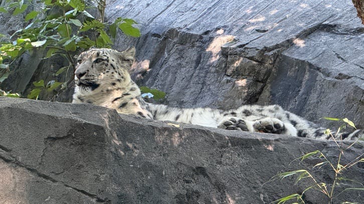 A Few Days in the Big City – Our NYC Adventure