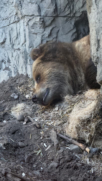 A Few Days in the Big City – Our NYC Adventure