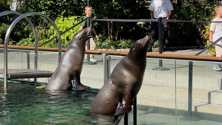 A Few Days in the Big City – Our NYC Adventure